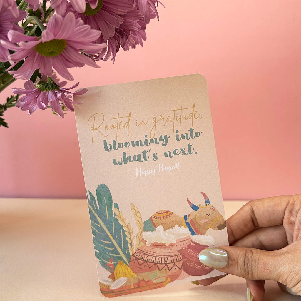 OMGS Collection bundle