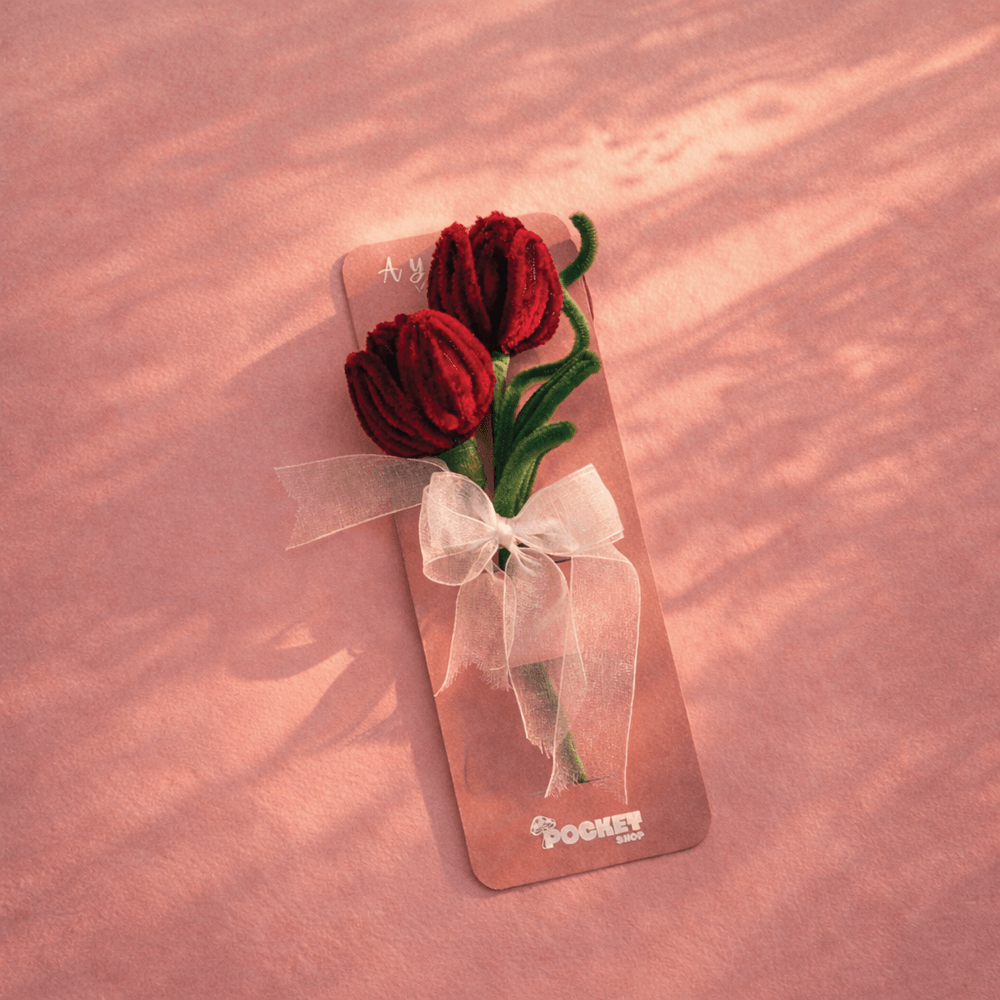 A Year of Us – Premium Collector’s Edition