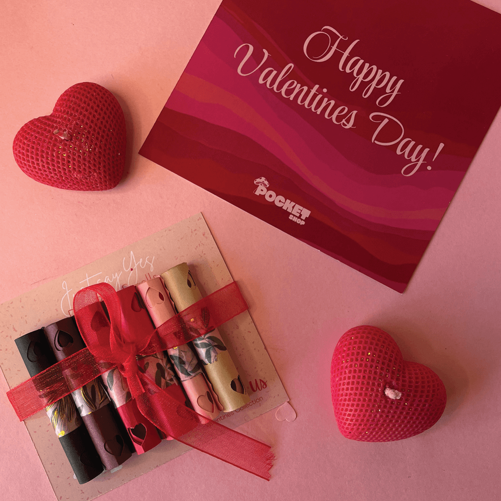 A Year of Us – Premium Collector’s Edition